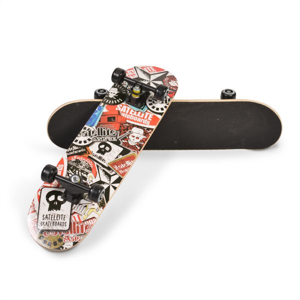 Skateboard 3006 B1 colorful