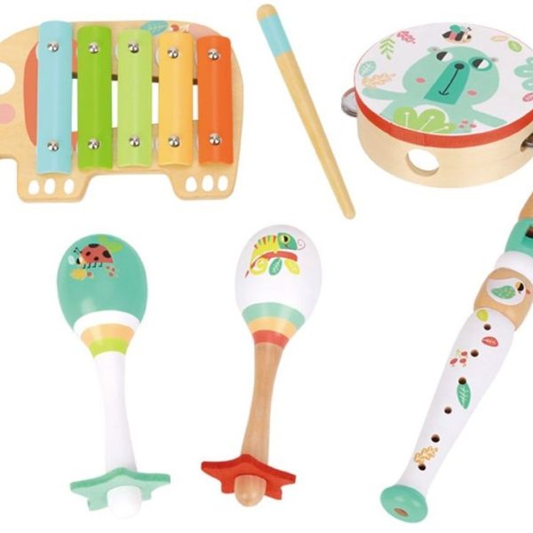 Music Instrument Set TF567