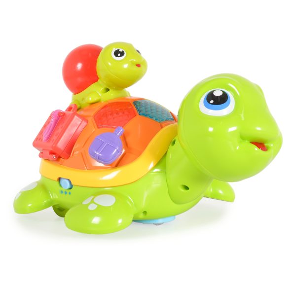 Hola Interactive turtles 868
