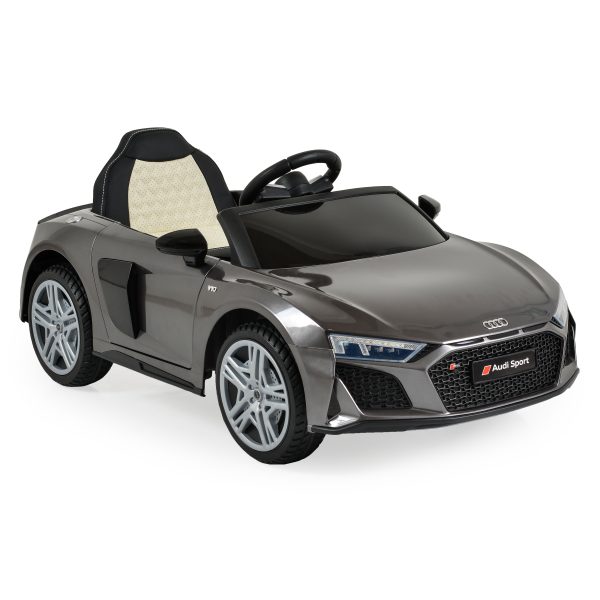 BO Audi R8 Spyder silver painting