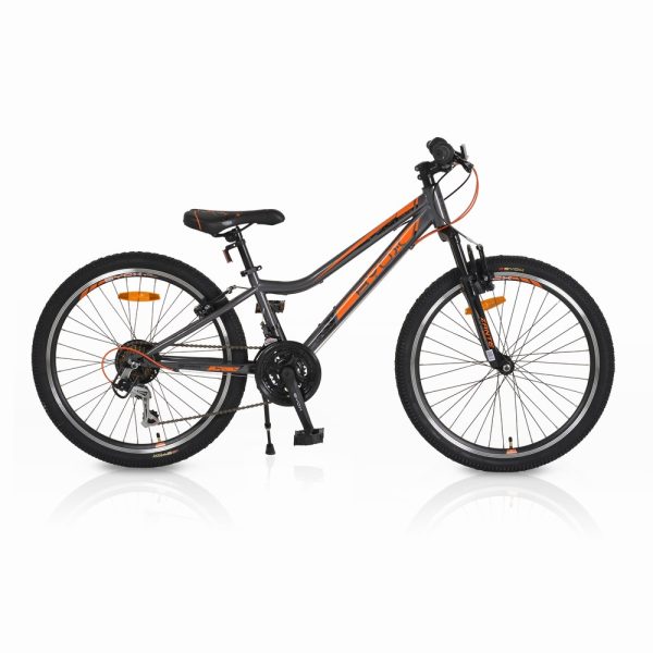 Bicycle 24 Zante grey