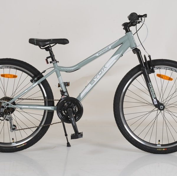 Bicycle 26“ Avenue grey